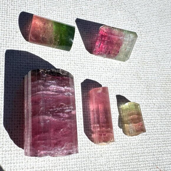 San Diego Tourmaline Collection 96.5 carats - Rough and Cut Lot in Display Box - Picture 1 of 8